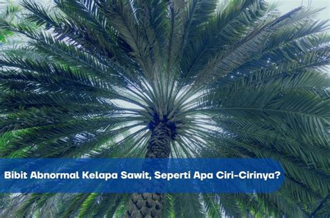  Kelapa Sawit: Surrealismin ja Tropicalististen Teemojen Ihastuttava Fuusio